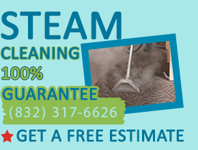 Cheap Carpet Cleaners