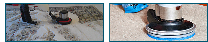 Professional Area Rug Cleaning Technician Clean Rug