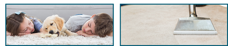 Reliable Carpet Steam Cleaning