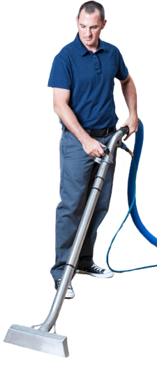 Professional Technician Clean Carpets Carpet Steam Cleaning