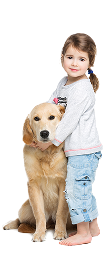 Professional Technician Clean Carpets Carpet Steam Cleaning
